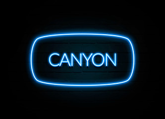 Canyon  - colorful Neon Sign on brickwall