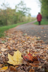 feuilles d'automne sur une route foresti&egrave;re avec une femme marchant en arri&egrave;re plan
