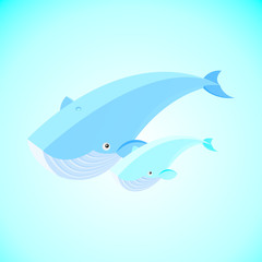 Blue whale