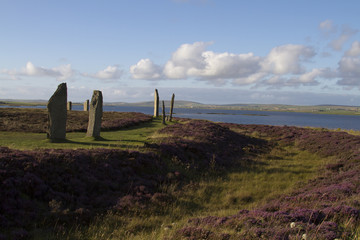 Steinkreis in der Nähe von Kirkwall - Orkney Inseln - Schottland