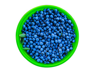 closeup blackthorn berries in a bucket isolated on a white background
