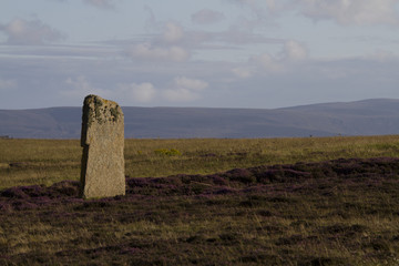 Hinkelstein - Ring of Brodgar - Orkneys - Schottland