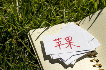 Cantonese; Learning New Language with Handwritten Flash Cards. Translation; Apple
