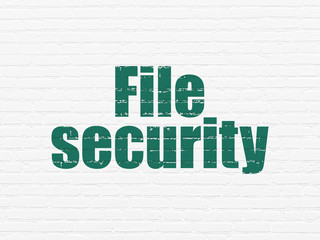 Security concept: File Security on wall background