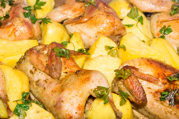 Quail meat baked in the oven. Freshly cooked quail with a side dish of new potatoes and parsley.