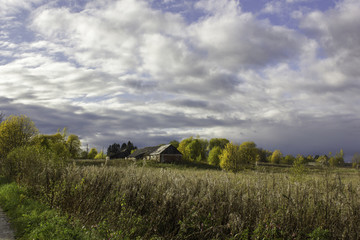 Golden autumn. October, a barn in an overgrown field.