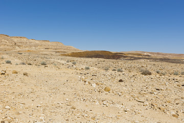 Fototapeta na wymiar Breathtaking landscape of the desert