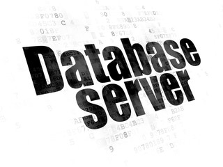 Software concept: Database Server on Digital background