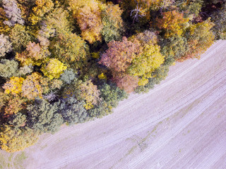 Luftbild Wald und Ackerland im Herbst