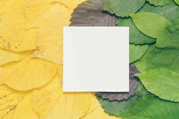 Creative layout made of flowers and leaves with paper card note. Nature concept