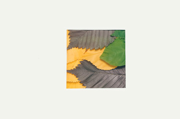 Creative layout made of flowers and leaves with paper card note. Nature concept