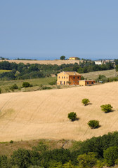 Summer landscape in Marches near Fossombrone
