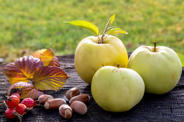 Picture with apples.