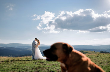 Dog sits before wedding couple standing on the green hill