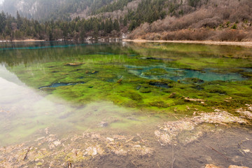 Lake Jiuzhaigou park