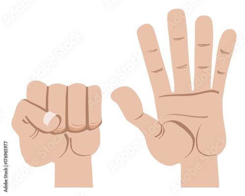 fist and open hand Fist and open hand