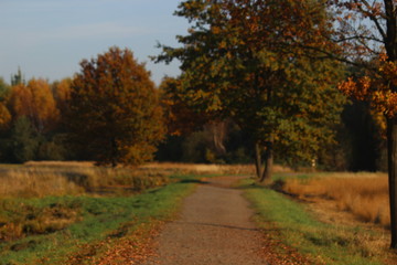 Path