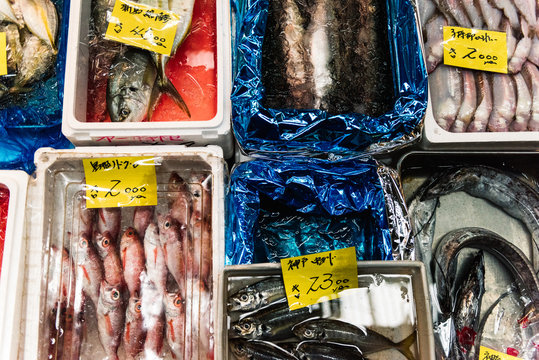 Tsukiji Fish Market
