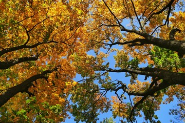 look over your head - you will see the beauty