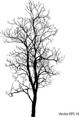 Dead Tree without Leaves Vector Illustration Sketched, EPS 10.