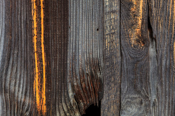 Old aged wood