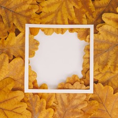 Creative layout made of flowers and leaves with paper card note. Nature concept