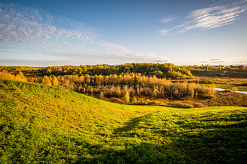 Fototapeta premium autumn forest with green yellow and red trees