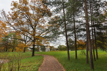 Autumn forest in Pushkin, Saint-Petersburg, Russia