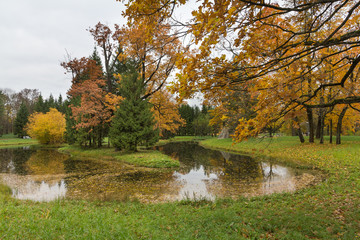 Autumn forest in Pushkin, Saint-Petersburg, Russia
