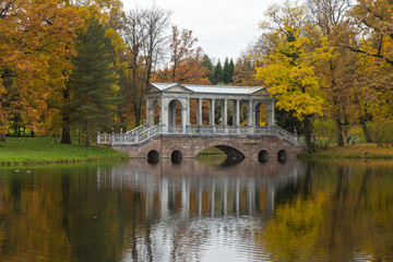 Autumn forest in Pushkin, Saint-Petersburg, Russia