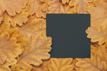 Creative layout made of flowers and leaves with paper card note. Nature concept