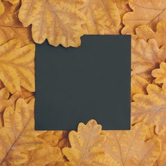 Creative layout made of flowers and leaves with paper card note. Nature concept