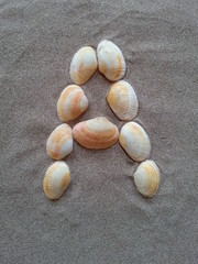 alphabet buchstabe A aus muscheln im strandsand © Detlef