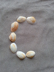 alphabet buchstabe C aus muscheln im strandsand