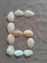 alphabet buchstabe G aus muscheln im strandsand