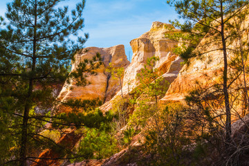 Red loamy wall of Providence Canyon with trees in sunny day, USA