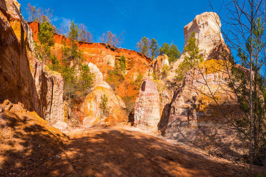 Red loamy floor and wall of Providence Canyon in sunny autumn day, USA