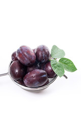 Steel colander with ripe plums isolated on a white background..