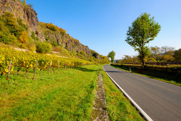Weinberge im Nahetal