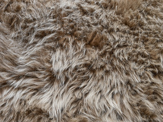 Fur background, natural grey background