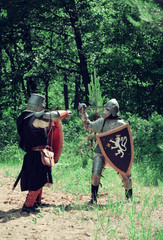  knights in armor is fighting