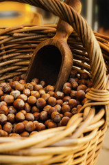 "Nocciola Piemonte Igp", also known as "Tonda Gentile di Langa", hazelnut variety produced in piedmont (italy), with wicker basket and scoop