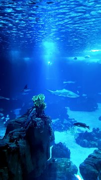 Raio de luz aben&ccedil;oando os mares