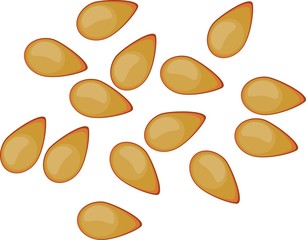 Seeds of  tomato on white background