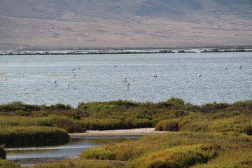 cabo de gata