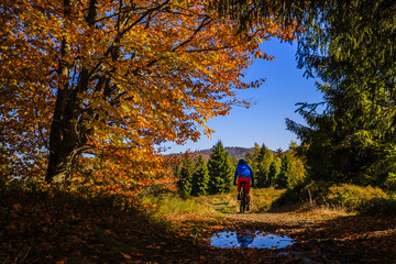 Mountain biker cycling in autumn mountains forest landscape. Man cycling MTB flow trail track. Outdoor sport activity.