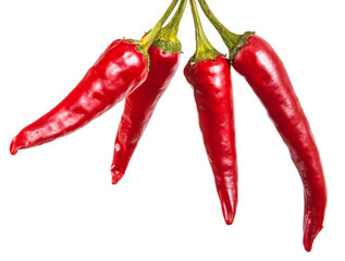 red bitter peppers. isolated on white background