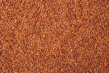 buckwheat