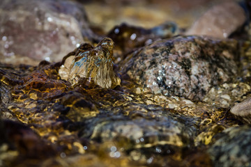 Close up water creek  floating over stones