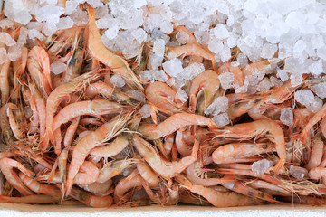 The raw shrimps Parapenaeus Longirostris background.